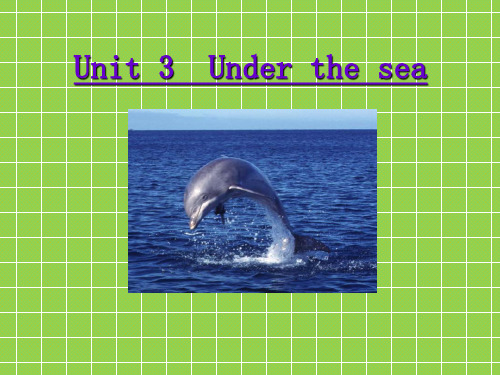 人教版高中英语选修七《Unit 3 Under the sea》 Reading 课件 1