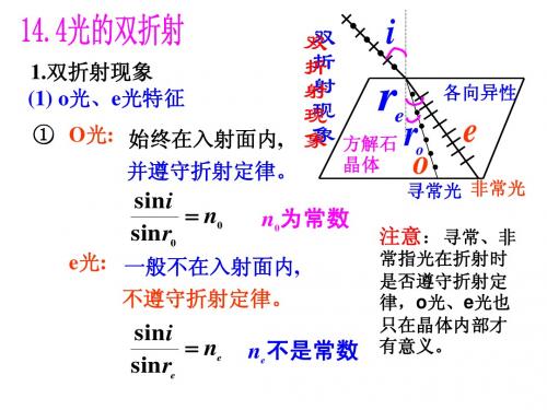 物理  光的双折射