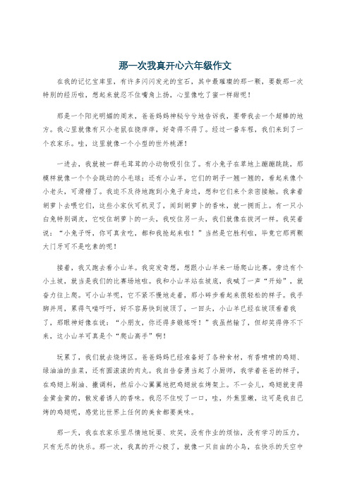 那一次我真开心六年级作文