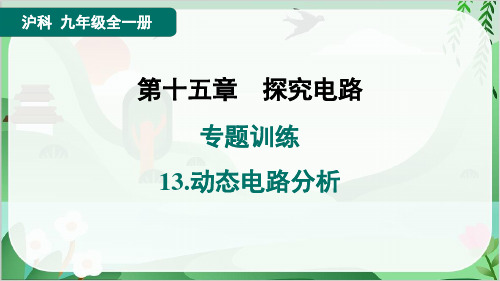 2024年沪科版九年级物理专题训练13.动态电路分析