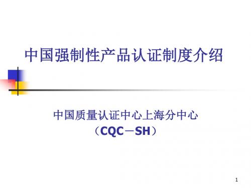 CCC中国强制性产品认证制度介绍(PPT 44)