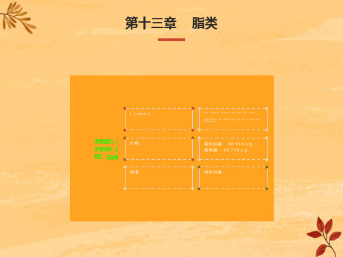 医学有机化学第十三章脂类