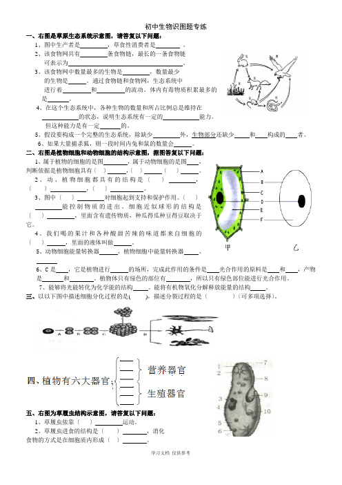 初中生物识图实验和答案