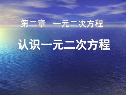 北师大版九年级上册数学《认识一元二次方程》一元二次方程3精品PPT教学课件