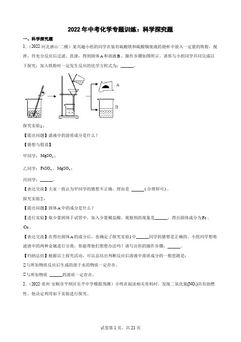 2022年中考化学专题训练科学探究题