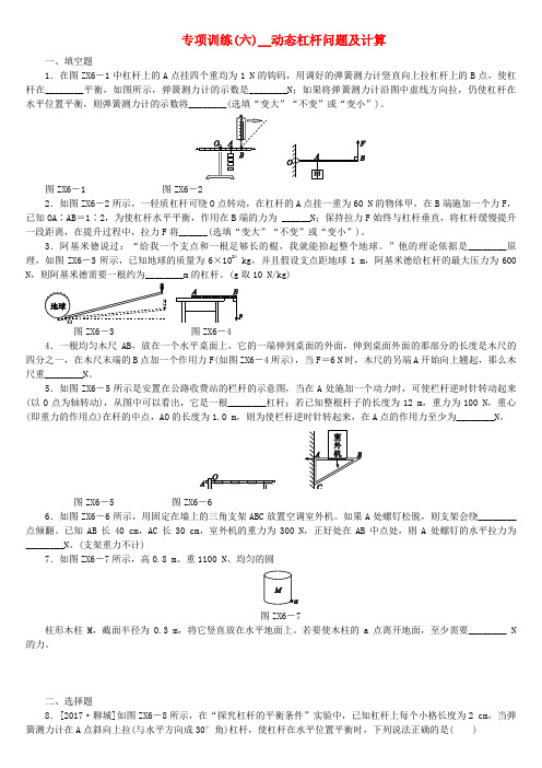 安徽省2018年中考物理专项训练六动态杠杆问题及计算复习题7