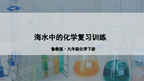 鲁教版九年级化学海水中的化学单元复习训练