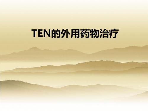 TEN的外用药物治疗ppt课件