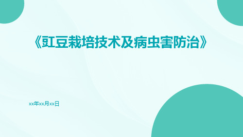 豇豆栽培技术及病虫害防治