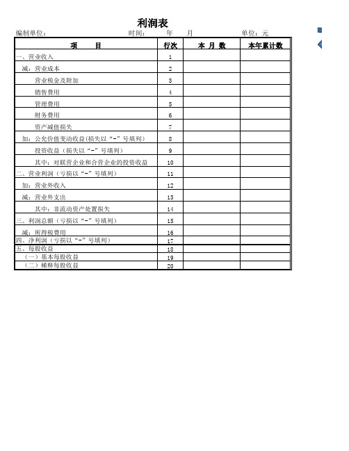 账本模板-总账-明细账-报表