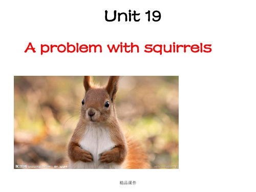 青少版新概念2B Unit19 A problem with squirrels