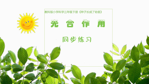 教科版小学科学三年级下册《种子长成了幼苗》光合作用同步练习