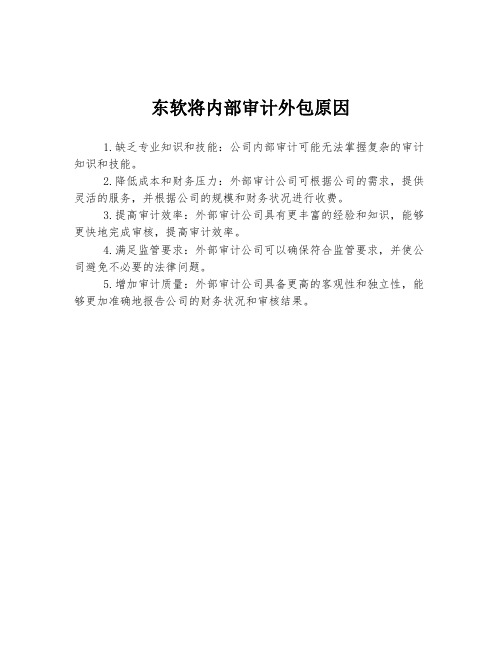 东软将内部审计外包原因