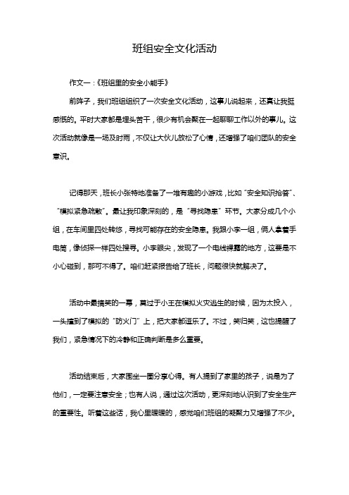 班组安全文化活动