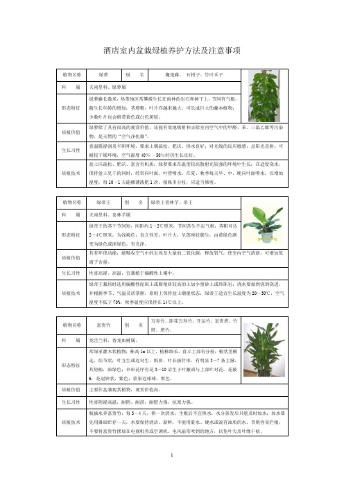 酒店室内绿植养护常识