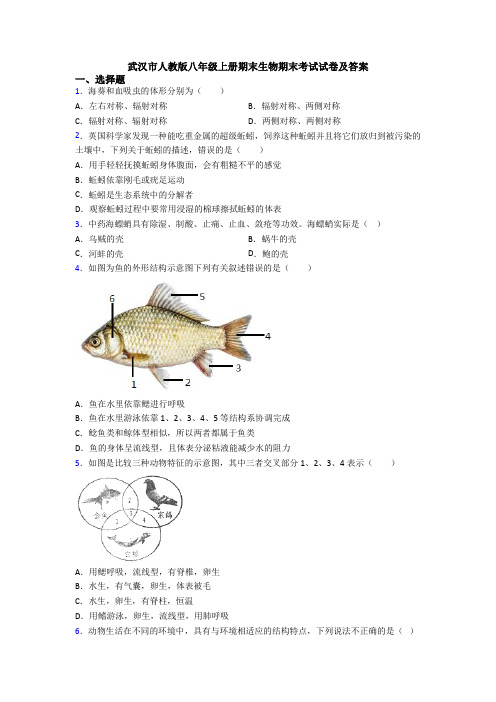 武汉市人教版八年级上册期末生物期末考试试卷及答案