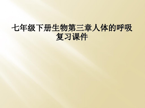 七年级下册生物第三章人体的呼吸复习课件