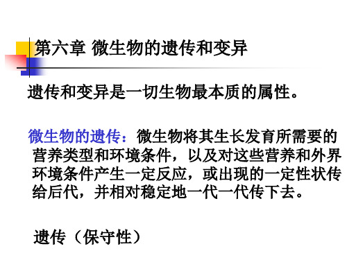 第七章微生物遗传和变异1案例