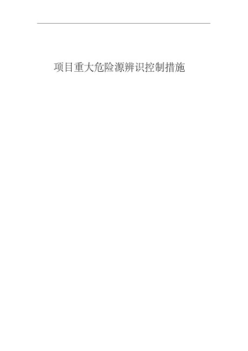 项目重大危险源控制措施(修改)资料