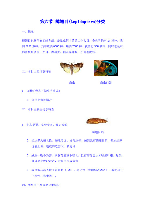 第六节 鳞翅目 图解