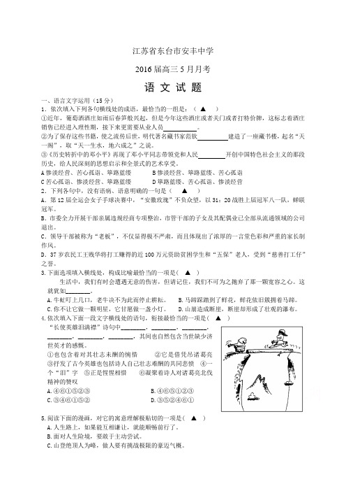 江苏省东台市安丰中学高三5月月考——语文语文