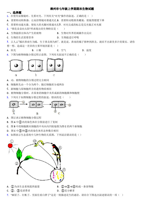 漳州市七年级上学期期末生物试题