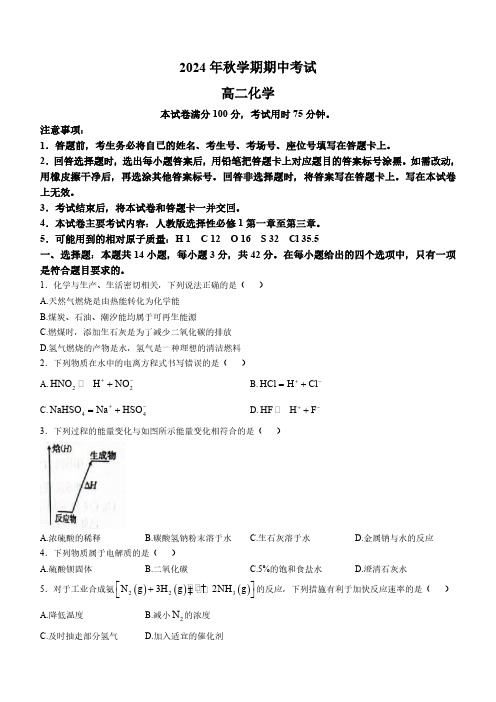 广西壮族自治区部分学校2024-2025学年高二上学期11月期中联考 化学试题 (含答案)