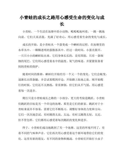 小青蛙的成长之路用心感受生命的变化与成长