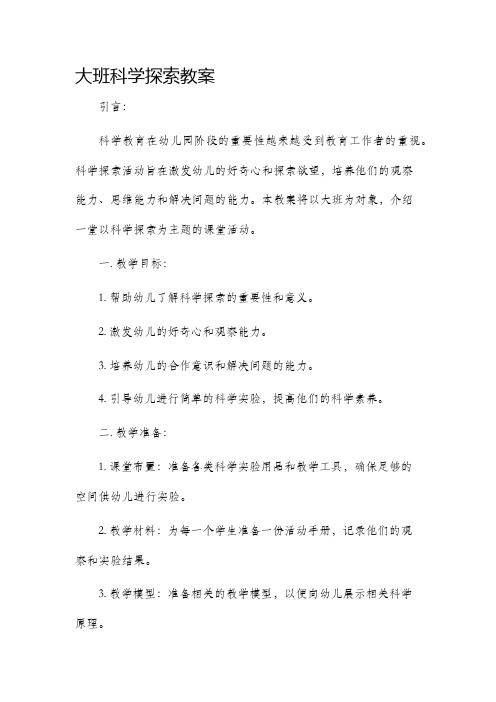 大班科探市公开课获奖教案省名师优质课赛课一等奖教案