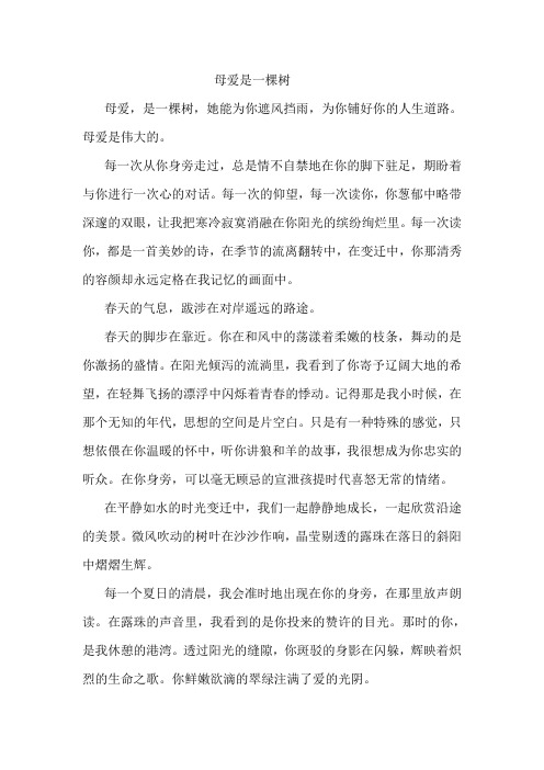 母爱是一棵树