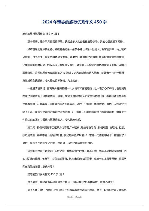 2024年难忘的旅行优秀作文450字