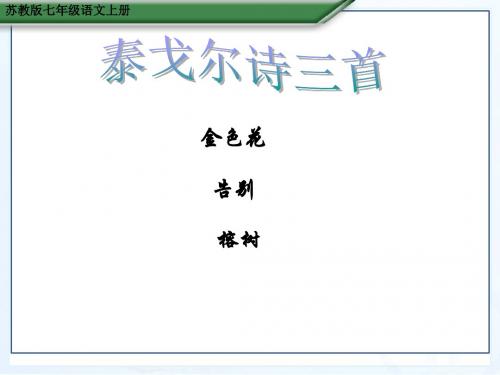 苏教版七年级语文上册泰戈尔诗三首 金色花 告别 榕树优质课课件