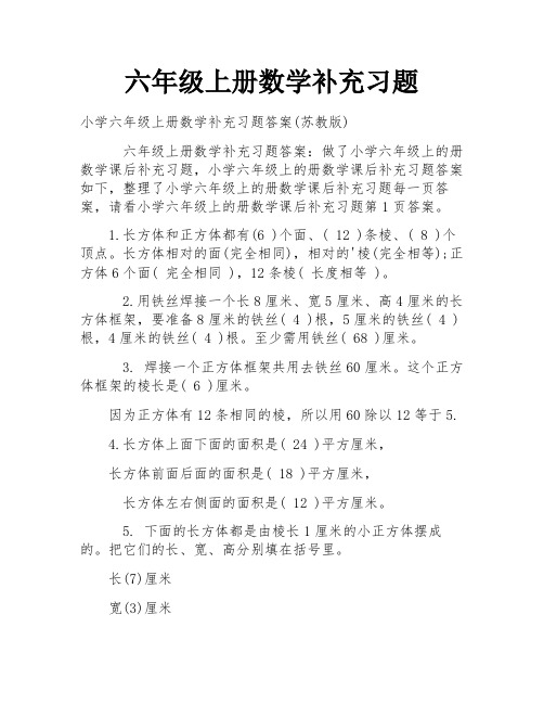 六年级上册数学补充习题