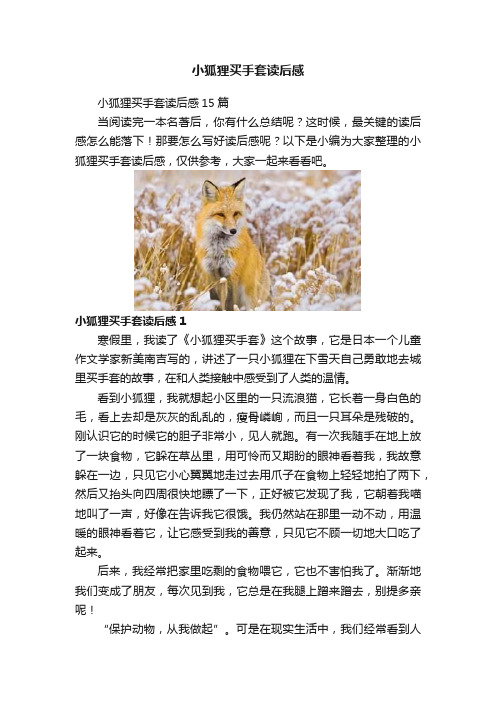 小狐狸买手套读后感