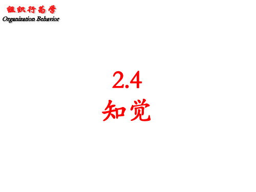 组织行为学2.4 知觉