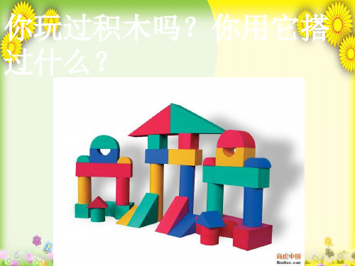 (苏教版)小学科学六上《搭建生命体的“积木”。》PPT课件(同课异构)(6)