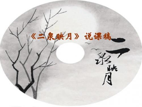 二泉映月说课稿