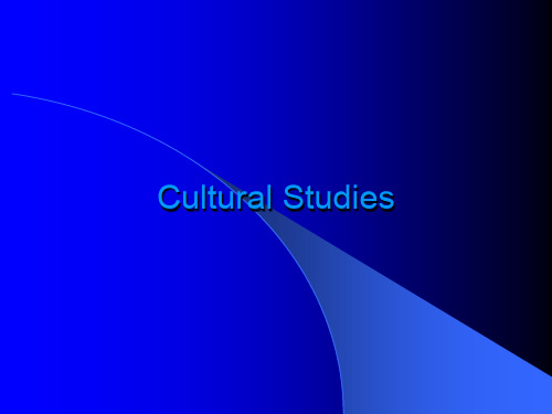 Cultural Studies (西方文论文化研究)完整版