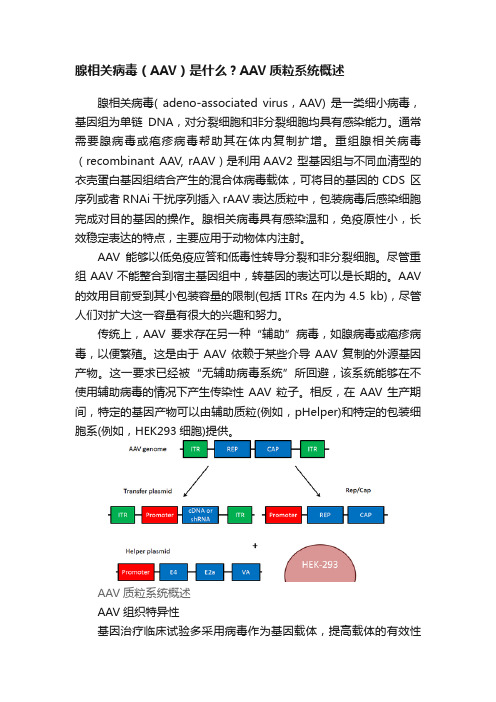 腺相关病毒（AAV）是什么？AAV质粒系统概述