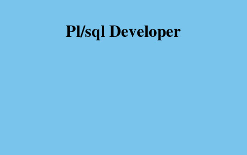 plsqldeveloper 使用技巧.ppt