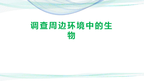 人教版生物七年级上册1.1.2《调查周边环境中的生物》(14张PPT)