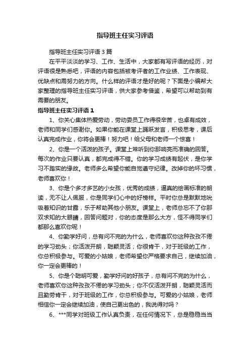 指导班主任实习评语