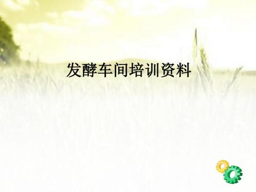 发酵人员培训资料 PPT