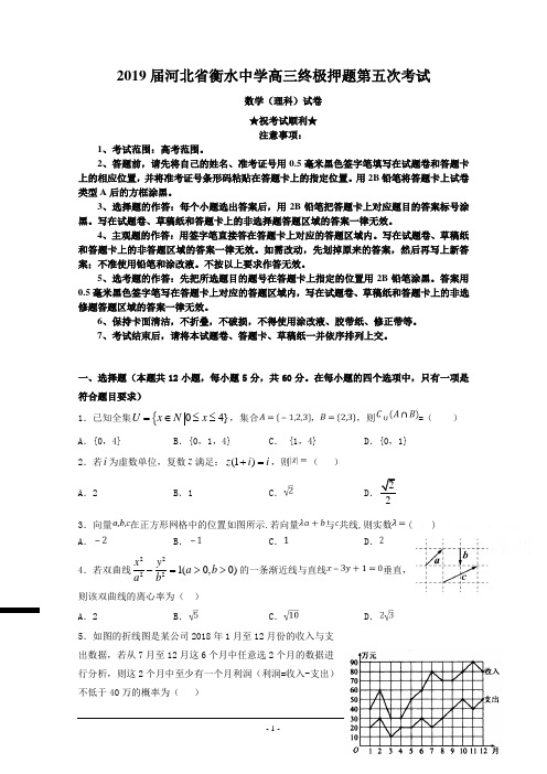 2019届河北省衡水中学高三终极押题第五次考试数学(理)试题