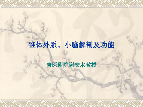 (参考课件)锥体外系、小脑解剖