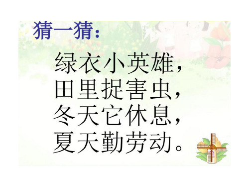 一年级语文识字3.小青蛙课件PPT