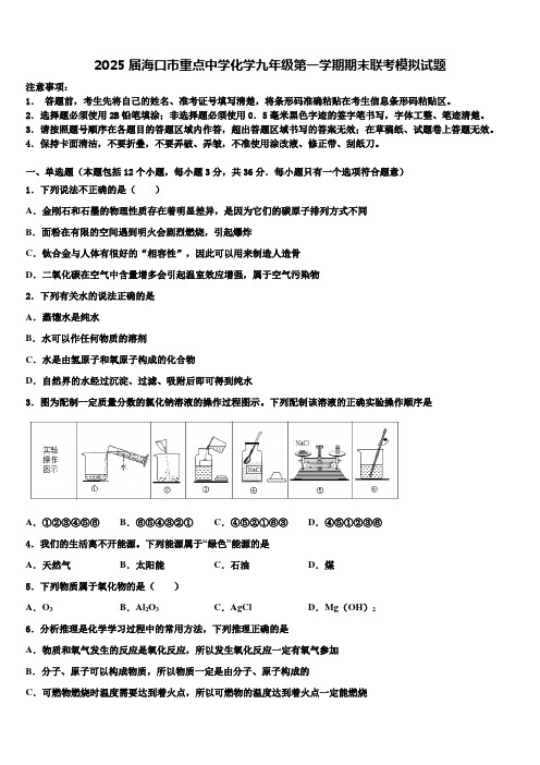 2025届海口市重点中学化学九年级第一学期期末联考模拟试题含解析