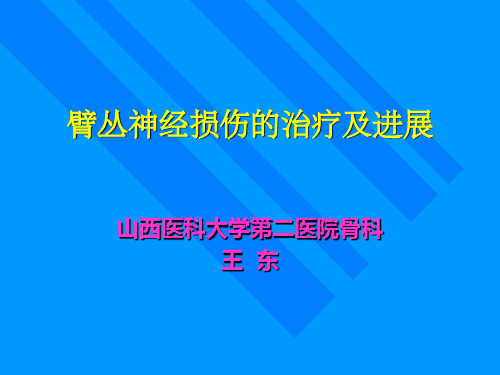 臂丛神经损伤的治疗及进展