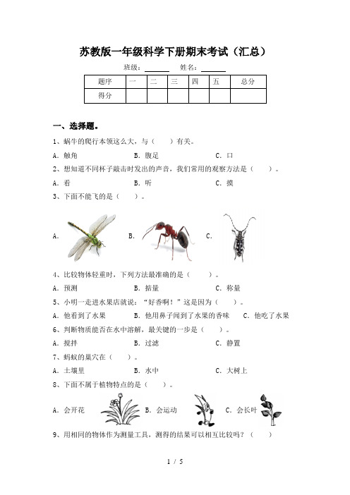 苏教版一年级科学下册期末考试(汇总)