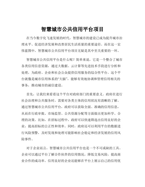 智慧城市公共信用平台项目